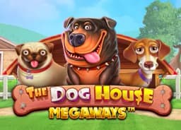roofernewengland: The Dog House Megaways
